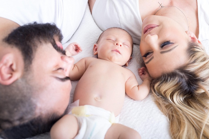 Familia Pixabay Infopangea