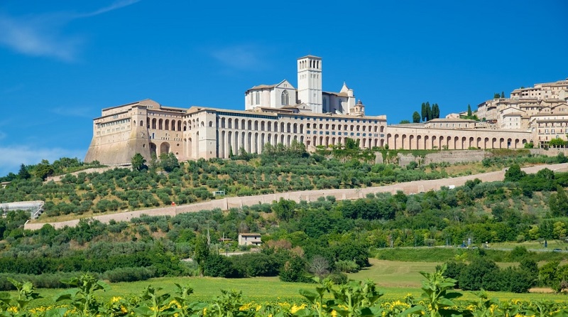Expedia Infopangea Asis Italia